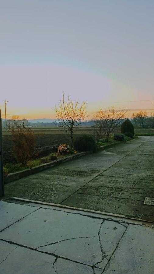 L'Oca Giuliva Leilighet Casale Monferrato Eksteriør bilde